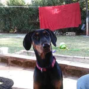 Meet your Posher, Hillary